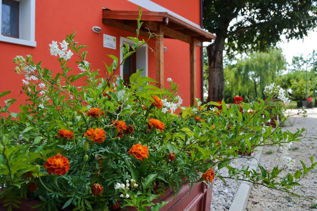 Ca' La Pergola Farm stay