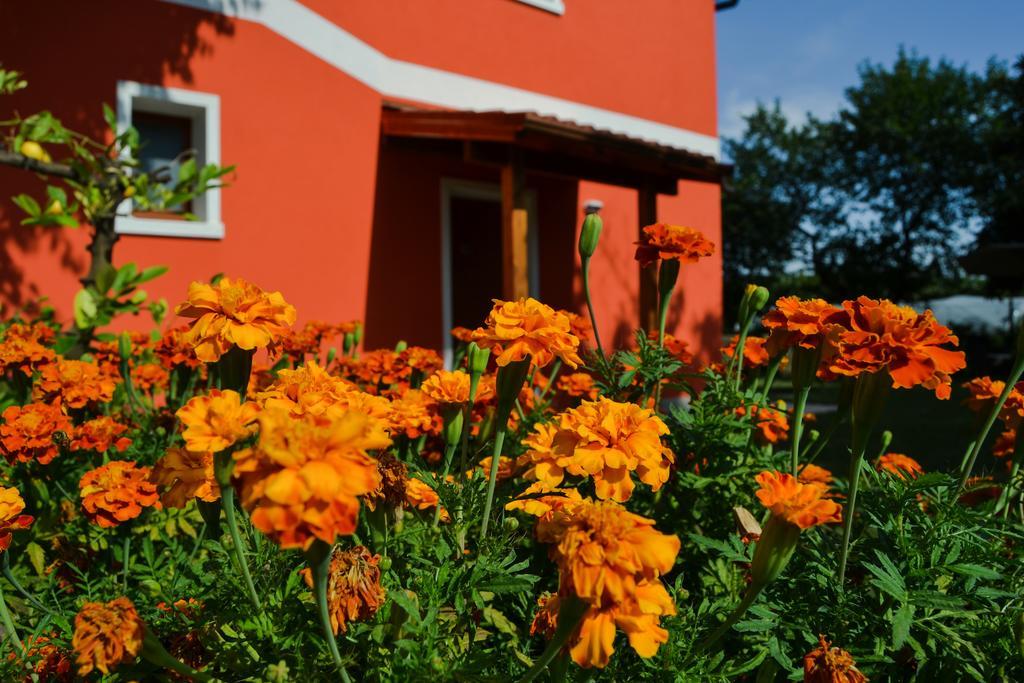 Farm stay Ca' La Pergola Verona