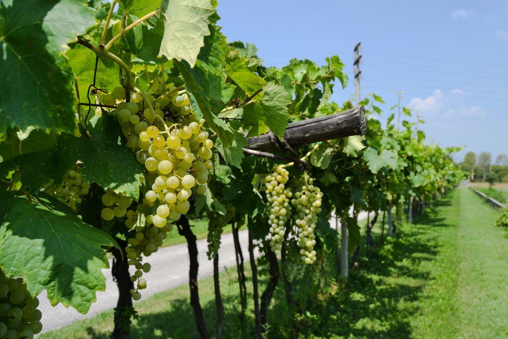 Farm stay Ca' La Pergola Verona